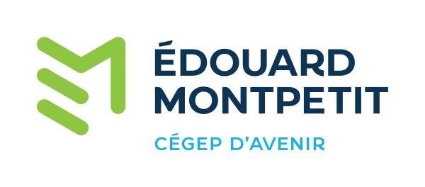 Technicien(ne) en information - volet communication marketing