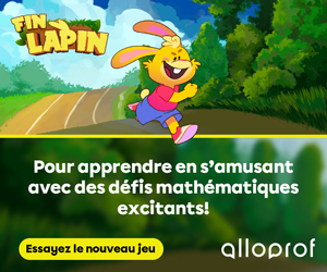 Fin Lapin : faire du calcul mental, un jeu !