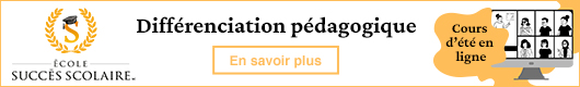 Succès Scolaire—Différenciation pédagogique | Cours d'été en ligne