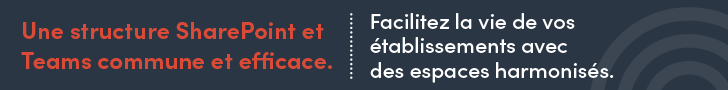 Services professionnels en gouvernance et gestion de l'information