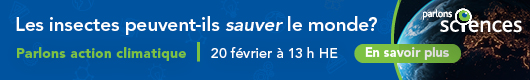 Les insectes peuvent-ils sauver le monde? En savoir plus »