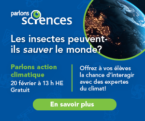 Les insectes peuvent-ils sauver le monde? En savoir plus »